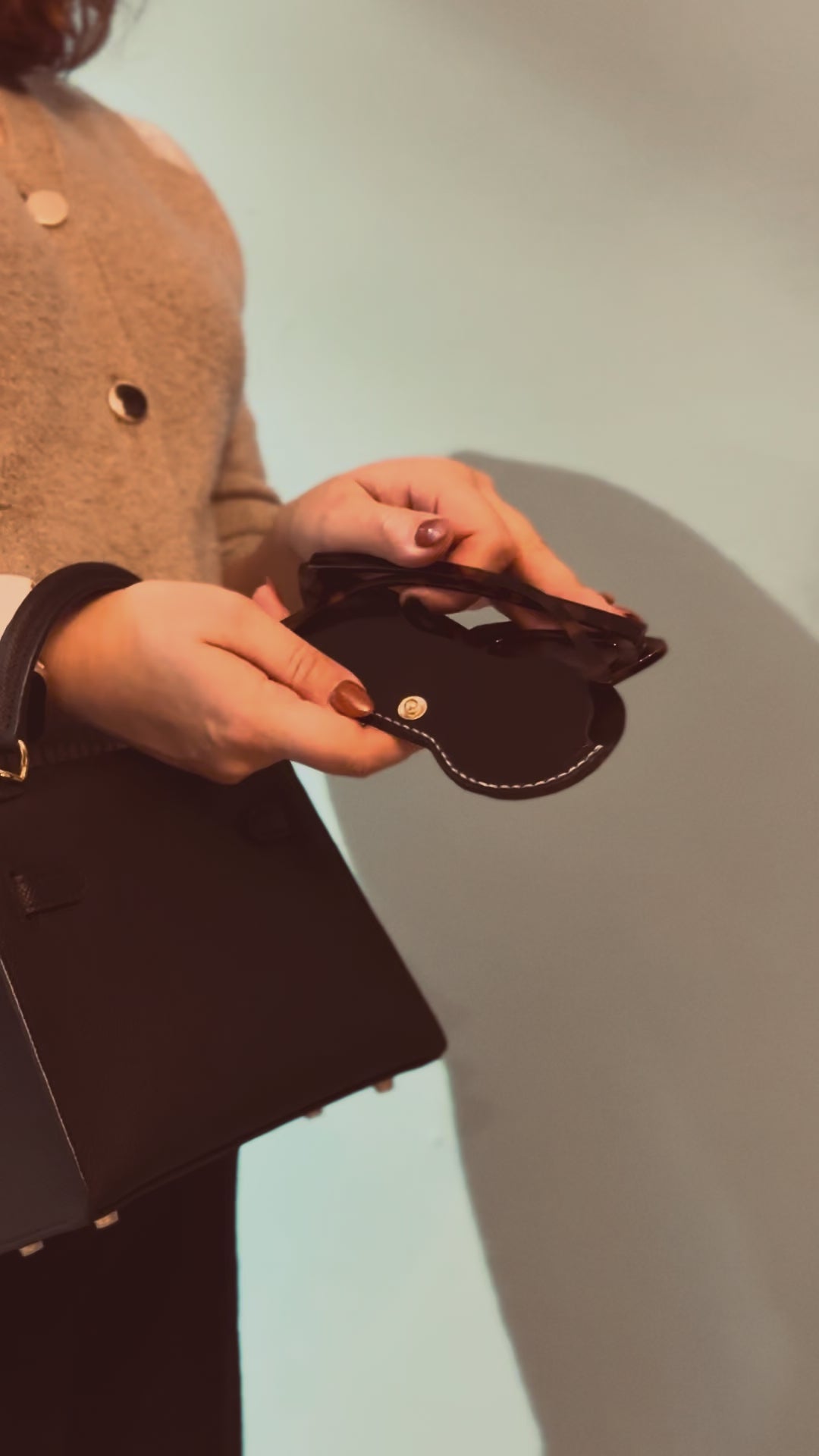 Holstein 001 Glasses Slip Case